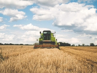 Bando ISI Agricoltura: proroga termini