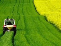 Domande esonero in agricoltura dal 4 aprile