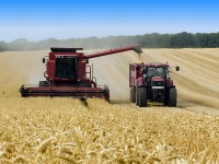 Agricoli: contributi ridotti in base all’attività svolta