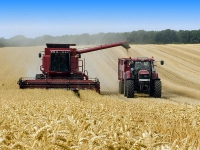 Investimenti innovativi imprese agricole: dal 23.05 le domande di agevolazione