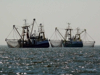 Attività agricole e pesca: come utilizzare il credito d'imposta per l’acquisto di carburanti