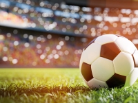 Le società calcistiche: costituzione, gestione, bilancio e controlli