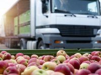 Logistica agroalimentare: dal 12.10 domande per gli incentivi