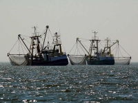 Fermo pesca 2022: invio istanze prorogato al 13.04