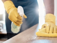 Lavoro domestico: focus su caratteristiche e tendenze dell’occupazione